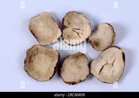 Red peony root (Paeoniae Radix Rubra), cut out, object Stock Photo