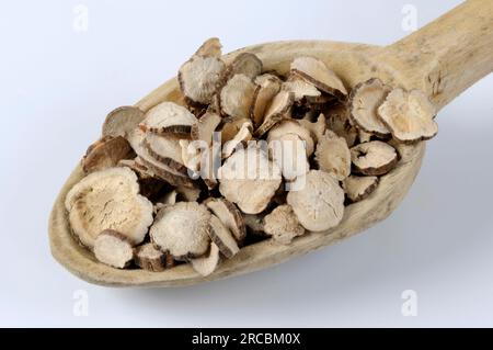 Red peony root (Paeoniae Radix Rubra) Stock Photo