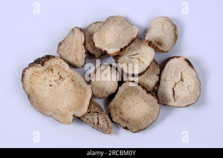 Red peony root (Paeoniae Radix Rubra), cut out, object Stock Photo