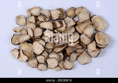 Red peony root (Paeoniae Radix Rubra), cut out, object Stock Photo