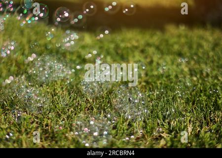 Colorful bright soap bubbles on summer natural green grass background in sunlight. Spring or summer holiday season. Symbol of happy childhood, purity, Stock Photo