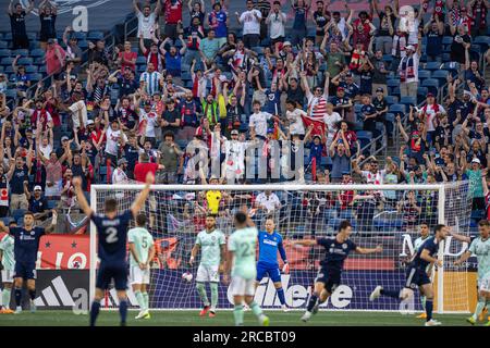 New England Revolution fans celebrate after a goal by New England Revolution midfielder Matt Polster (8) during the first half during an MLS soccer ga Stock Photo