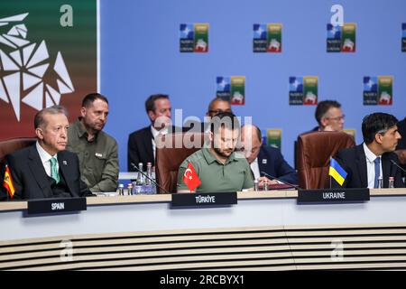 Vilnius, Lithuania. 12th July, 2023. (L-R) President of Turkiye Recep Erdogan, President of Ukraine Volodymyr Zelenskyy, and Prime Minister of the UK Rishi Sunak sit by the round table at the meeting of the NATO -Ukraine Council at the level of heads of state and government during the high-level NATO summit in Litexpo Conference Centre. The summit agenda covers Ukraine's bid to join the organisation, the accession process of Sweden, boosting arms stockpiles and reviewing defence plans. Credit: SOPA Images Limited/Alamy Live News Stock Photo