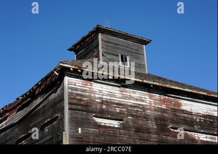 Unusual weathered, worn wooden barn structure is topped with cupola.  Exterior of this Kansas barn was white but paint has deteriorated off. Stock Photo