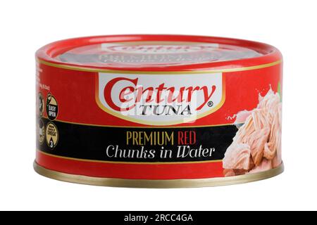 A can of delicious Tuna Chunks in Water isolated on white background with copy space Stock Photo