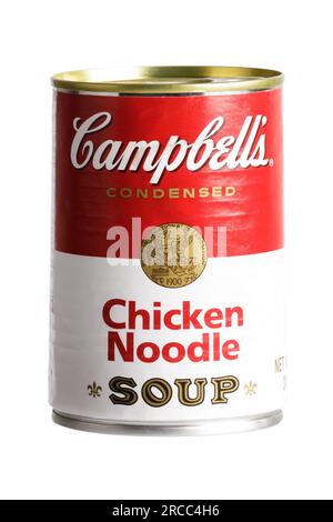 A can of delicious Chicken Noodle Soup isolated on white background with copy space Stock Photo