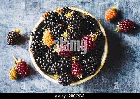 Blackberry fruits bowl overhead view summer food background, ripe blackberries on gray table Stock Photo