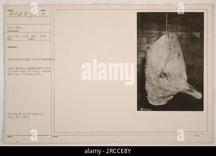 Lt. Lubbe providing meat for the government during WWI. This image shows a commercial trim of a good steer from Armour and Co. in Chicago, Illinois. The photograph was taken on January 27, 1919, and approved by the M.I.D censor on January 28, 1919. Stock Photo