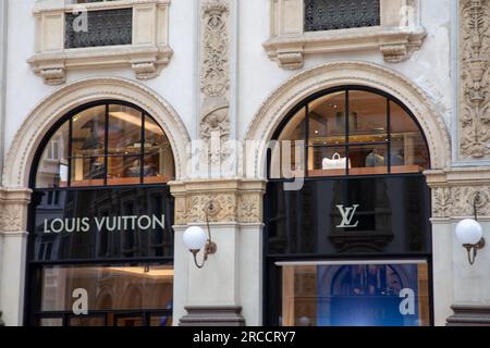 Luis Vuitton Luxury Luggage and Suitcases Company Editorial Image - Image  of entrance, store: 276041870