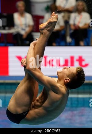 Matej Nevescanin of Croatia competes in the 1m Springboard Men at the ...