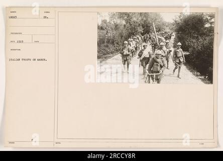 Italian troops marching during World War One. The soldiers are seen holding their guns and walking in a disciplined formation. This photograph was taken in 1919 and is part of a series documenting American military activities during the war. The image is labeled '111-SC-18023' and is described as '188VED' with the note: 'TAKEN ITALIAN TROOPS ON MARCH. C SYMBOL EU. NOTES: NE 1167.' Stock Photo