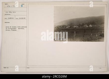 Lieutenant Fox, serving in the Signal Corps, captured this photograph in Murvaux, Meuse, France. The image showcases the scenic Bois du Corrol in the foreground. The date of the photograph is November 19, 1918, and its catalog number is 40130. Stock Photo