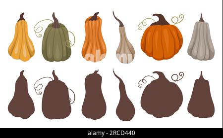 Childrens educational fun. Find right black silhouette for pumpkins. Vector template for autumn preschool games. Find the correct shadow for vegetable Stock Vector