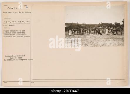 Stable sergeants of the National Army receiving instructions in practical dressings for wounded horses. Taken on July 10, 1918, this photo was issued on July 26, 1918, after being censored and released by the Military Intelligence Branch. Photographed by 1st Lieutenant E. N. Jackson. Stock Photo