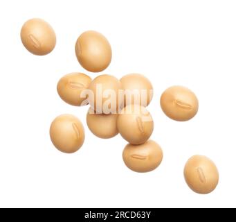 Soybeans isolated on white background Stock Photo
