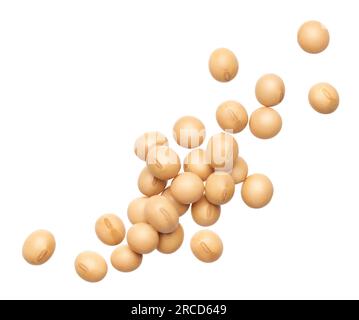Soybeans splash isolated on white background Stock Photo