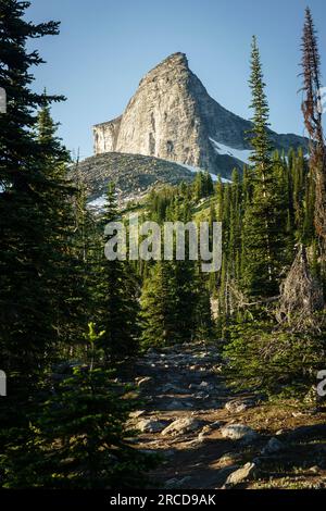 Portrait view of path leading through forest towards large mountain Stock Photo