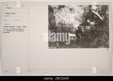 A soldier in the Pigeon Section of the Signal Corps is seen writing a message that will be transmitted via carrier pigeons. This specific image is assigned the number 67,594 and is part of the Signal Corps' collection of photographs documenting American military activities during World War One. Stock Photo