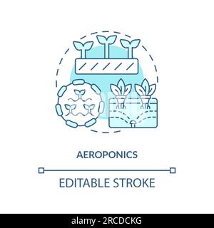 Linear customizable aeroponics icon concept Stock Vector
