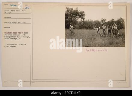 High school boys receiving training on farming techniques at Pennsylvania State College. This particular session focuses on tree planting. The photograph was taken in 1918 as part of the military activities during World War One. The image is labeled as SUBJECT 55365 and is intended for official use only. Stock Photo