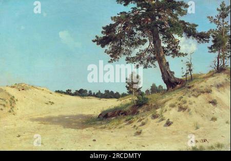 Pine on sand 1884 by Ivan Shishkin Stock Photo