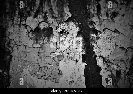 Metal rusty surface with shabby background paint. Texture cracked paint on an iron sheet. Metal Corrosion. Black and white image. Stock Photo