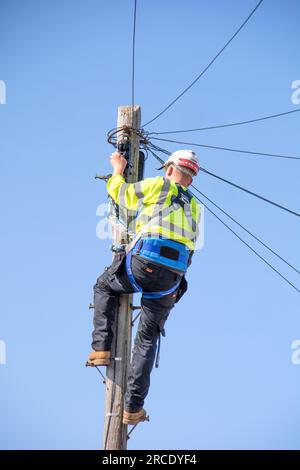 Openreach engineer on a telegraph pole, England, UK Stock Photo