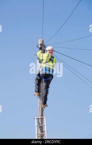 Openreach engineer on a telegraph pole, England, UK Stock Photo