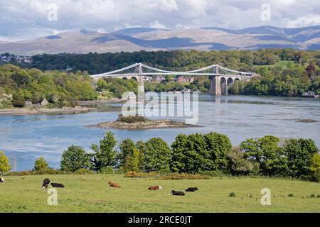 Menai Suspension Bridge crossing the Menai Strait from the Isle of Anglesey and the mainland of Wales. north-west Wales. UK Stock Photo