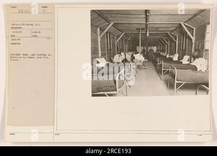 Interior view of the officers' ward at Camp Hospital 64 in Chatillon sur Seine, Cote d'Or, France. The photograph was taken on April 14, 1919 by Sgt.A.L. Villanova, S.C. The image was issued on January 25, 1919. Stock Photo