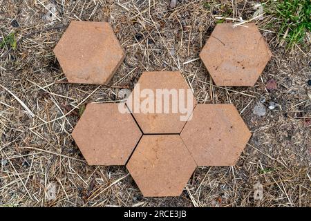 Abstract image of wooden hexagons on the ground Stock Photo
