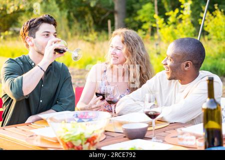 Group of multiracial friends doing a bbq and having fun over a glass of wine, focus on a beautiful caucasian woman and a good looking black man laughing. A beautiful garden in the background. High quality photo Stock Photo