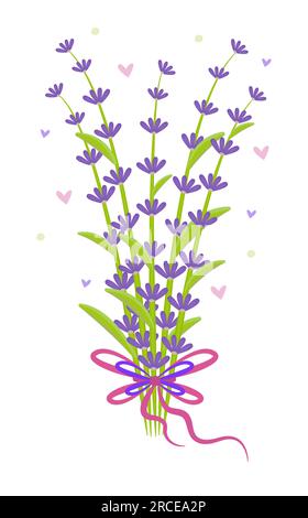 Bouquet of lavender with a bow, colorful illustration Stock Vector
