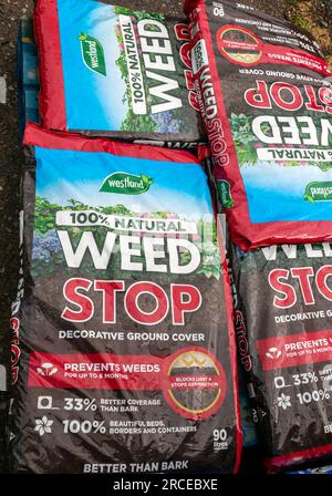 cannabis online shop