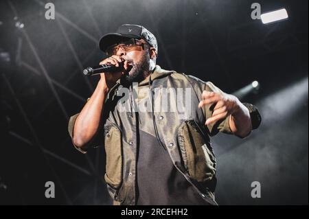 TORINO, STUPINIGI SONIC PARK FESTIVAL 2023, ITALY: Will.i.am (real name William James Adams Jr.) of the American musical group consisting of rappers called Black Eyed Peas performing live at the Stupinigi Sonic Park festival Stock Photo