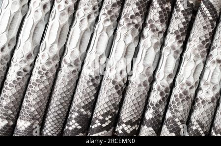 black and white snake background, reptile skin texture with scaly relief Stock Photo