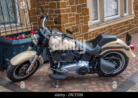 2015 Harley-Davidson Twin Cam 103 V-Twin Engine motorbike. Stock Photo