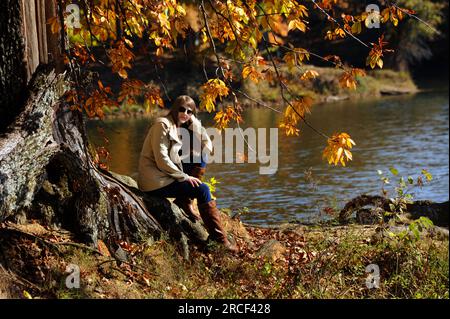 Attractive young woman, wearing sunglasses, jeans, boots and coat, rests on the root of a large tree covered in orange and yellow Autumn foliage, in M Stock Photo