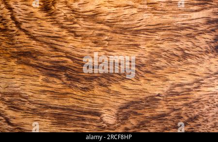 background of mango wood texture closeup Stock Photo