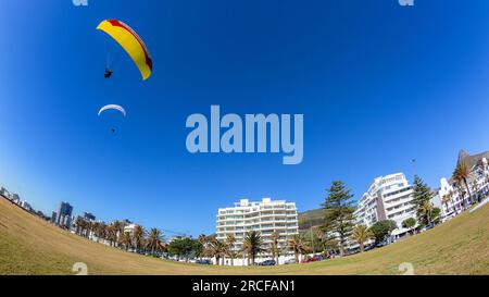 Paragliders tandem parachutes blue sky closeup flight landing front of buildings mountains onto promenade grass field at Seapoint Cape Town. Stock Photo