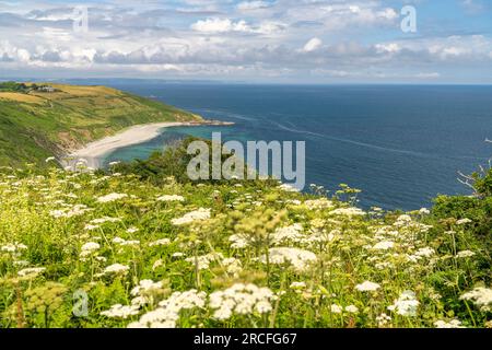 Vault Beach bei Gorran Haven, Saint Austell, Cornwall, England, Großbritannien, Europa  |  Vault Beach near Gorran Haven, Saint Austell, Cornwall, Eng Stock Photo