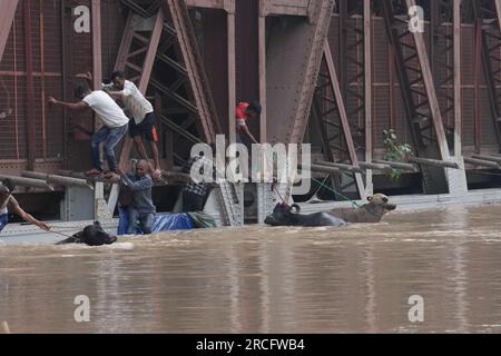 New Delhi, India. 13th July, 2023. Villagers rescue their buffalo from flood waters in the Indian capital of New Delhi on Thursday, July 13, 2023. Photo by Abhishek/UPI Credit: UPI/Alamy Live News Stock Photo