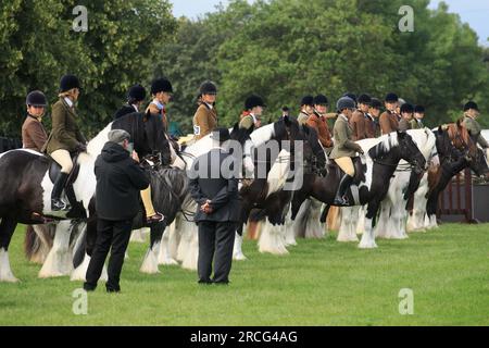 11th July 2023 Horses being shown at the Great Yorkshire Show Stock Photo