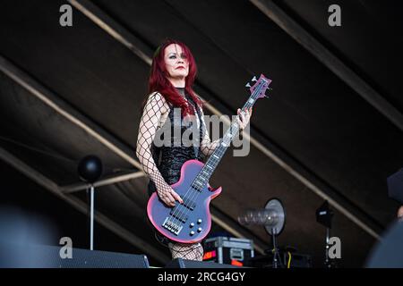 Nadja Peulen of Coal Chamber performs at Inkcarceration Music and