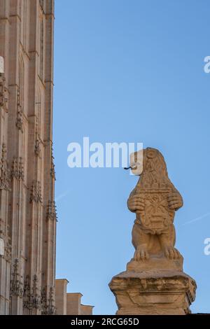 Lion Sculpture in front of Segovia Cathedral - Segovia, Spain Stock Photo