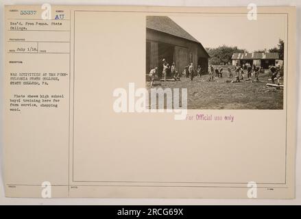 High school boys at Pennsylvania State College in State College, PA, participate in war activities by training for farm service. In this photo, they are seen chopping wood as part of their training. This image was taken on July 1, 1918, and is labeled as tax description number AU. It is classified as 'For Official use only.' Stock Photo