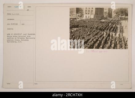 Men of the Students' Army Training Corps being officially enlisted into service on the steps of the Columbia University Library in New York. This photograph was taken by RECO on April 27, 1919, and is identified as Subject number 58827. The image showcases the induction ceremony, which involved the formal enlistment of these men into military service. Stock Photo