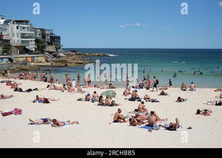 People soaking up the sun on the beach at North Bondi on a sunny afternoon with clear blue sky Stock Photo