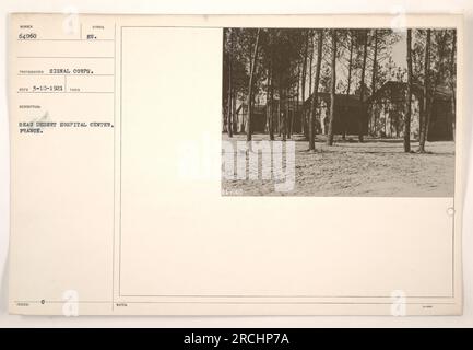 Soldiers receiving medical treatment at Beau Desert Hospital Center in France during World War One. The photograph was taken by a Signal Corps photographer and is numbered 64060. The symbol on the photograph indicates that it was issued at Beau Desert Hospital Center. The notes on the photograph are unclear. Stock Photo