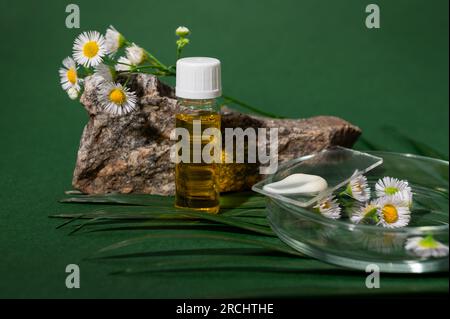 Beautiful natural still life composition with cosmetic products from natural organic herbal ingredients, displayed on mockup vial, labglass, Petri dis Stock Photo